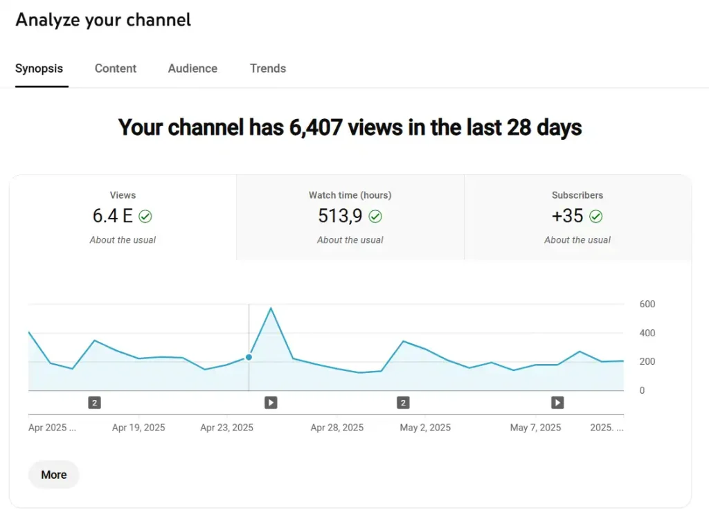 Streaming server statistics